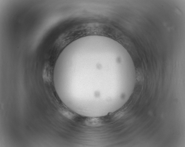 X0000073950431200609111655