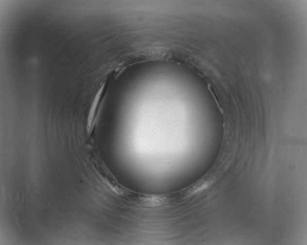 X0000073950432200609111655