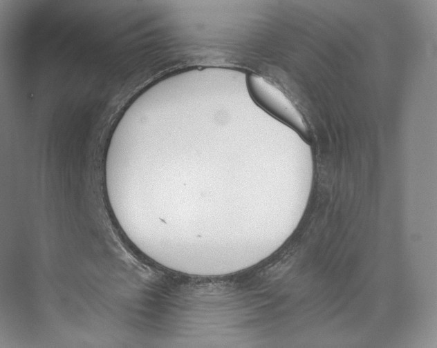 X0000073950433200609111654