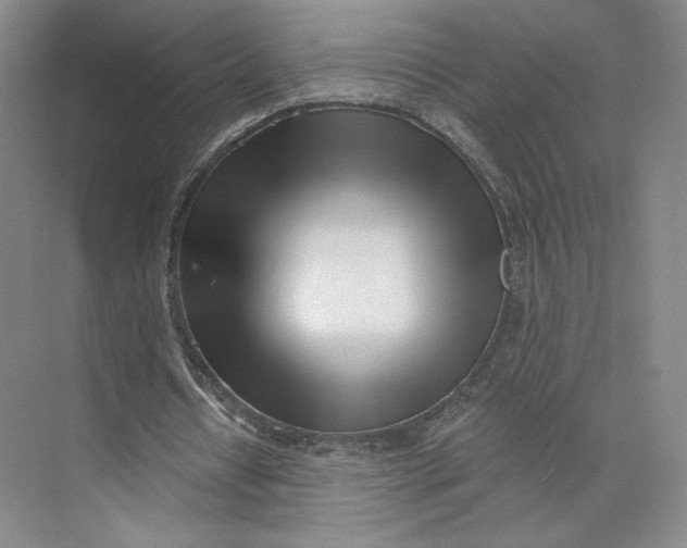 X0000073950434200609111654