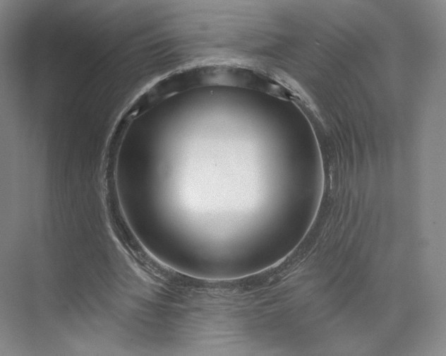 X0000073950436200609111654