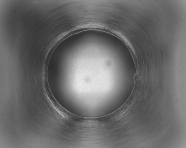 X0000073950437200609111654