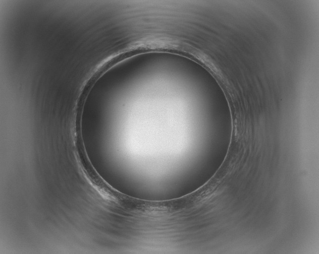 X0000073950438200609111654