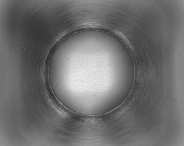 X0000073950439200609111654