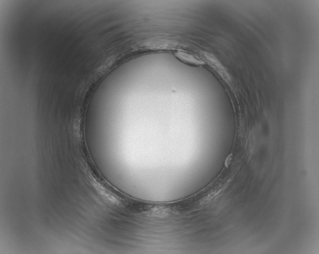 X0000073950441200609111654