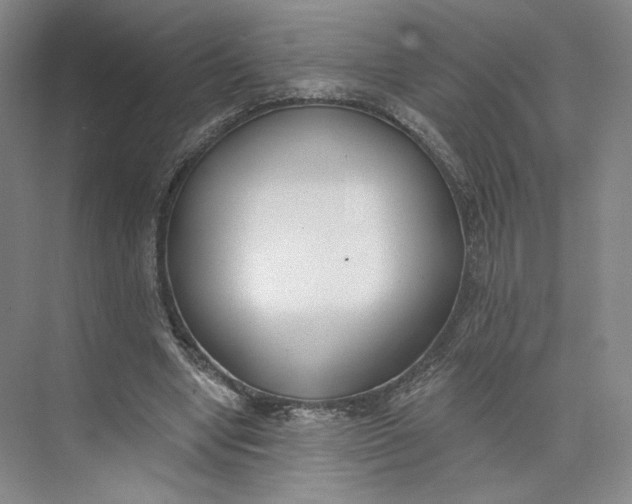 X0000073950442200609111654