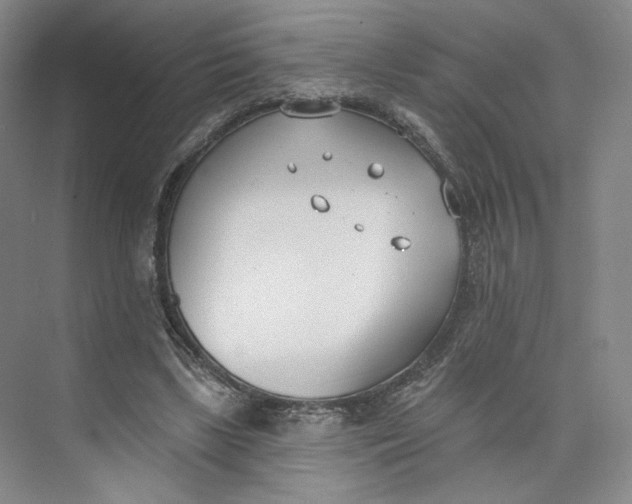 X0000073950443200609111654