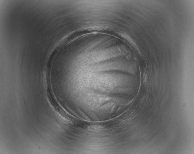 X0000073950444200609111654