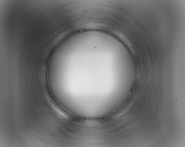 X0000073950445200609111654