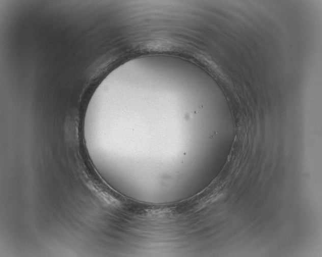 X0000073950446200609111654