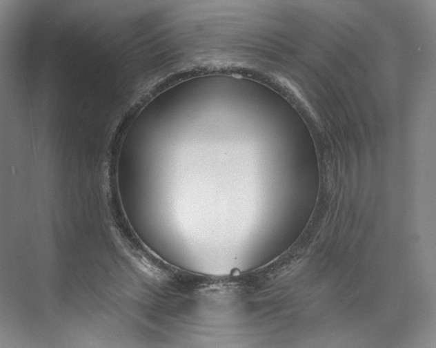 X0000073950447200609111654