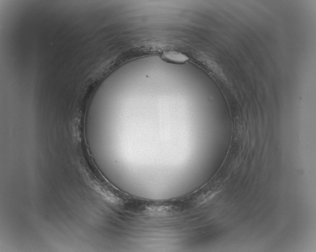 X0000073950450200609111654