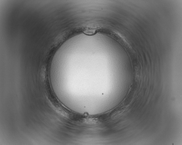 X0000073950451200609111654