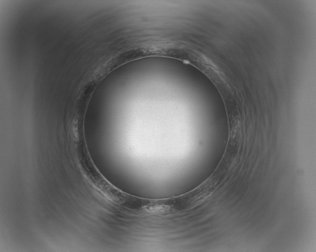 X0000073950452200609111654