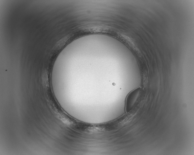 X0000073950453200609111654