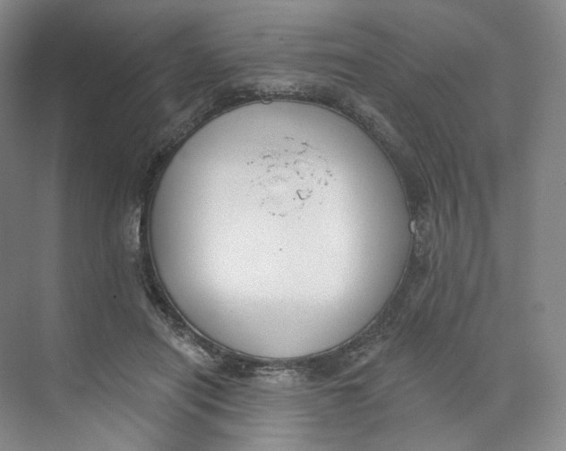 X0000073950454200609111654