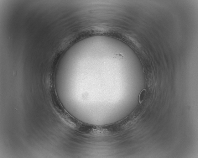 X0000073950455200609111654