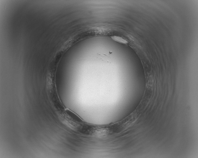 X0000073950456200609111654