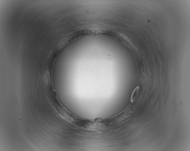 X0000073950459200609111654