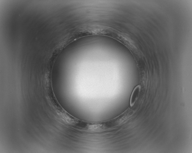 X0000073950461200609111654