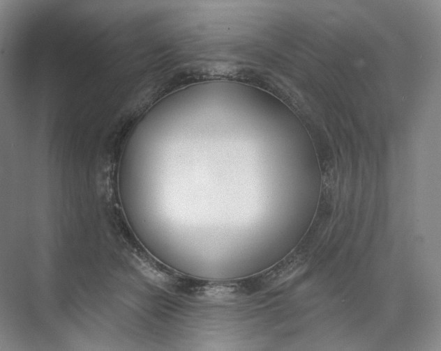 X0000073950462200609111654