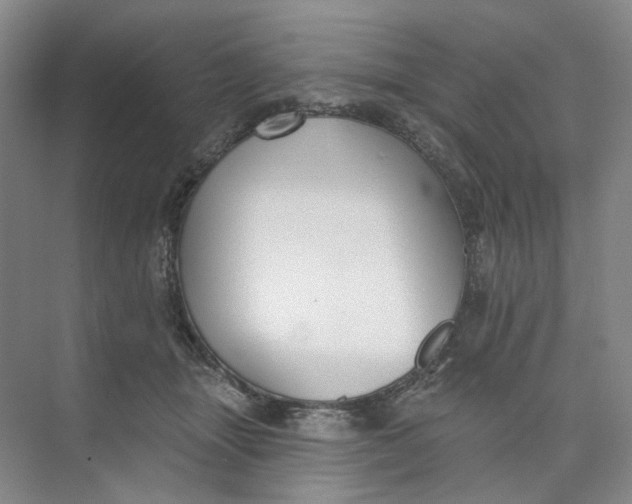 X0000073950463200609111654