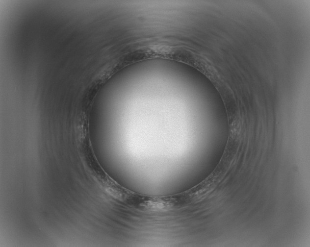 X0000073950464200609111654