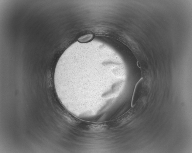 X0000073950465200609111655