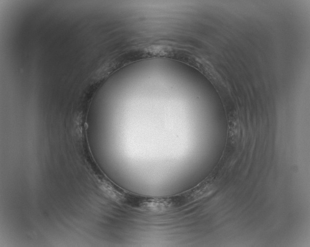 X0000073950466200609111655