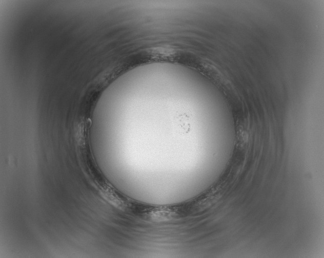 X0000073950468200609111655