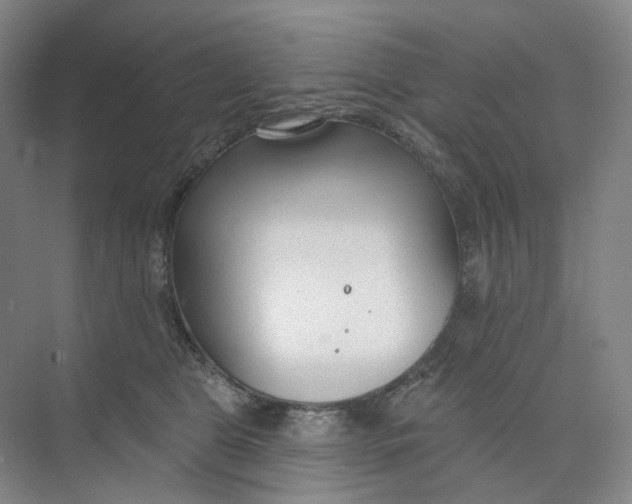 X0000073950469200609111655