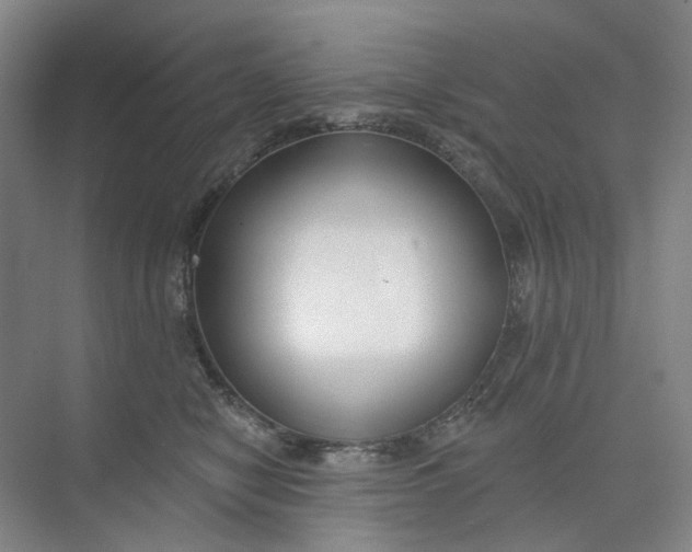 X0000073950470200609111655