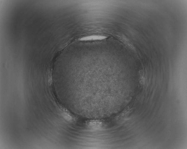 X0000073950471200609111655