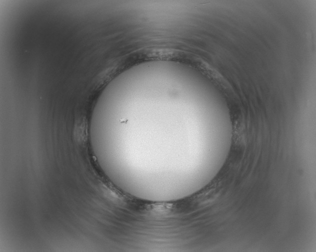 X0000073950474200609111655