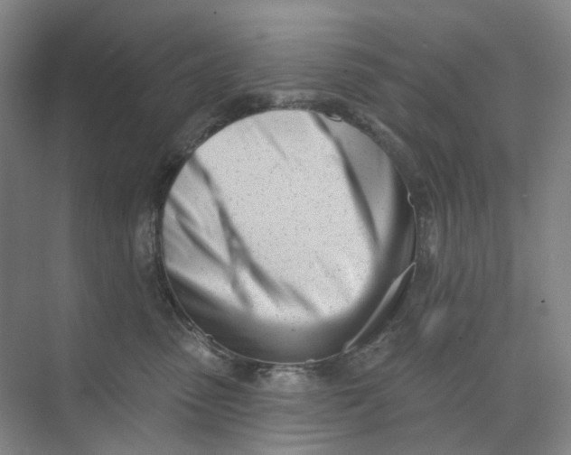 X0000073950475200609111655