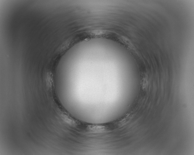 X0000073950476200609111655