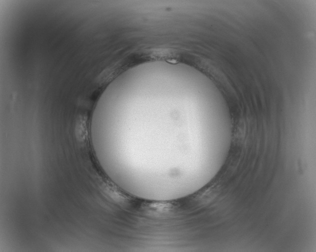 X0000073950478200609111655