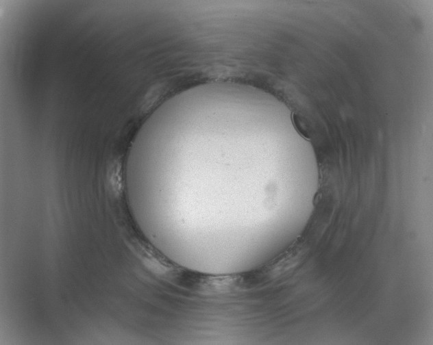 X0000073950479200609111655