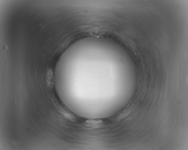 X0000073950480200609111655