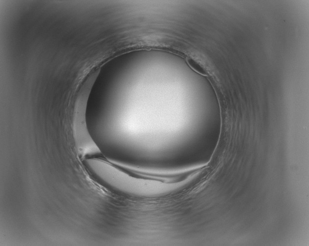 X0000073950481200609111654