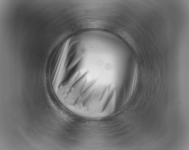 X0000073950482200609111654