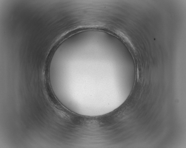 X0000073950483200609111654