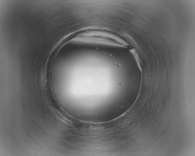 X0000073950484200609111654