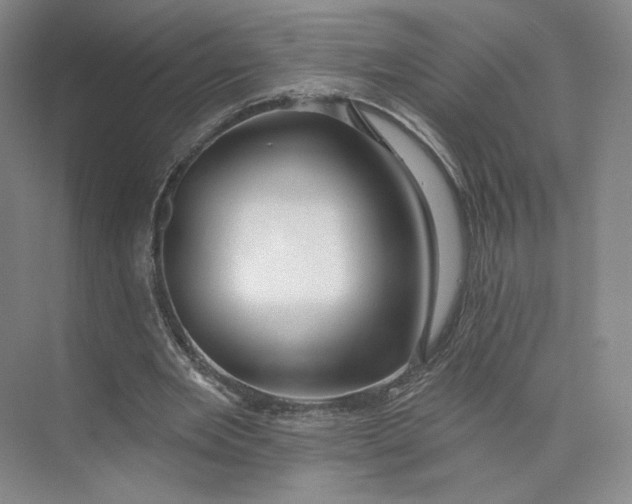 X0000073950485200609111654