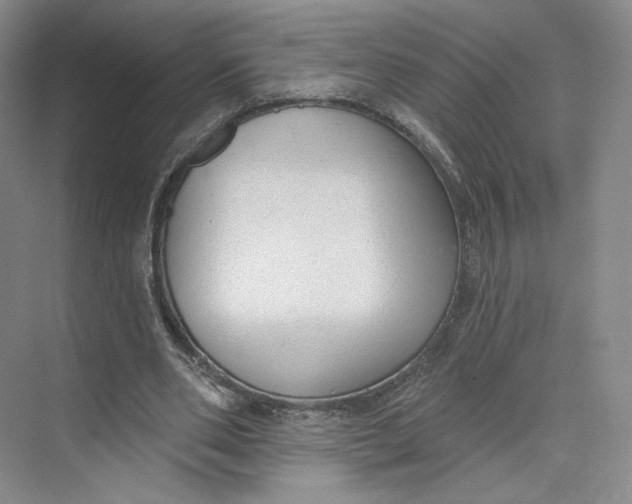 X0000073950486200609111654