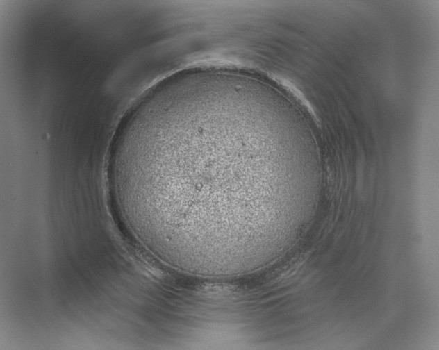 X0000073950487200609111654