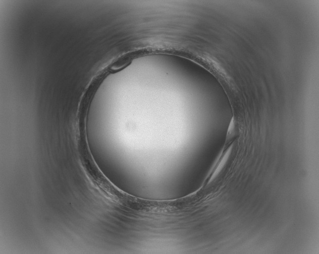 X0000073950488200609111654