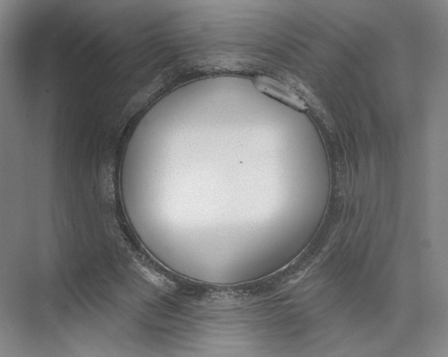 X0000073950489200609111654