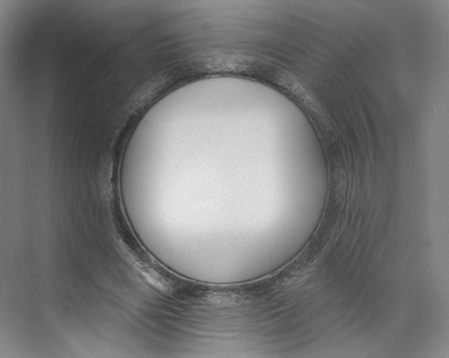 X0000073950490200609111654