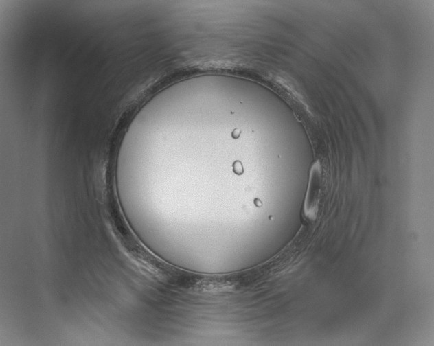 X0000073950491200609111654